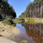 Photo of a pond with a shallow slope that leads into the water, suitable for dogs.