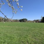 Photo of a large recreation field.