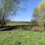 Photo of a path that runs near to the river, a short section of boardwalk takes you over a boggy bit.