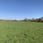 Photo of a very large open, green meadow. Trees in the distance.