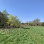 Photo of a grassy path through a green meadow, with trees around the edge.