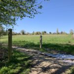 Photo of a path with boards to help keep your feet dry. Green meadow behind.