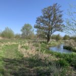 Photo of a spring scene with a river running gently, and a path beside it