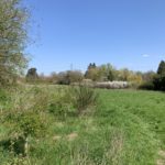 Photo of a spring scene with a green meadow against a blue sky