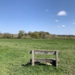 Photo of a wooden bench looking out across a green meadow.