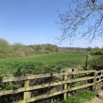 Photo across a gateway, of a view across a large green meadow flanked with trees.