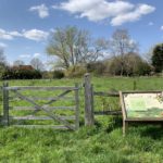 Photo looking across a gateway into a community orchard where small fruit trees are growing