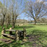 Photo of a picnic table in a green meadow, trees around the edge