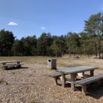 Photo of a large open picnic area with picnic tables and rubbish bins.
