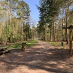 Photo of a wide walkway flanked by tall pine trees, a finger post in the foreground points the way. There's also a picnic bench and a bin in the picture.