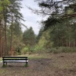 Photo of a bench looking out across a wooded slope.