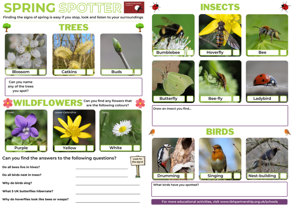 Image of an activity sheet for kids, to help them spot budding trees, wildflowers, insects and birds.