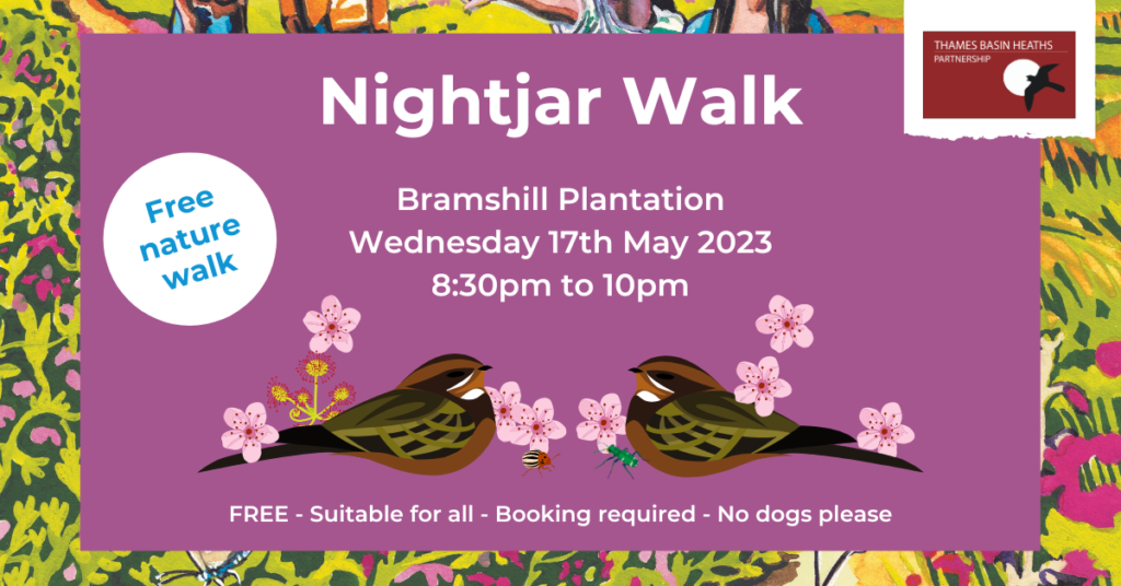 Attractive poster with drawings of nightjars to advertise the event.