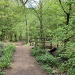 Photo of a spring scene, with fresh green leaves. A wooden bridge crosses a stream.