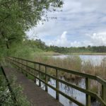 Photo of a wooden board walk running along the edge of a large pond.