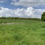 Photo of a pond in a green meadow.