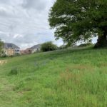 Photo of a large green meadow. A development of new houses is shown close to the edge of the meadow.