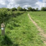 Photo of a large green meadow, with a footpath way marker in the foreground. Points to the Wokingham Way.