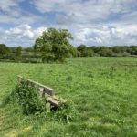 Photo of a large green meadow. A bench looks out across the rolling countryside.