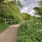 Photo of a pth leading over a wide wooden footbridge, with Cow Parsley in flower in the foreground.