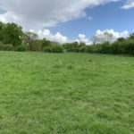 Photo of a green meadow with blue sky behind.