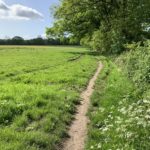 Photo looking up a small rough footpath running along a hedge at the edge of the meadow.