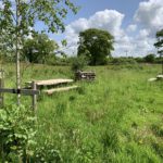 Photo of picnic tables and an insect hotel set within the meadow.