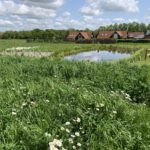 Photo of the view across the meadow and over the pond.