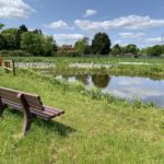 Photo of a bench overlooking a pond.