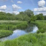 Photo of the River Blackwater with lots of lush green vegetation.