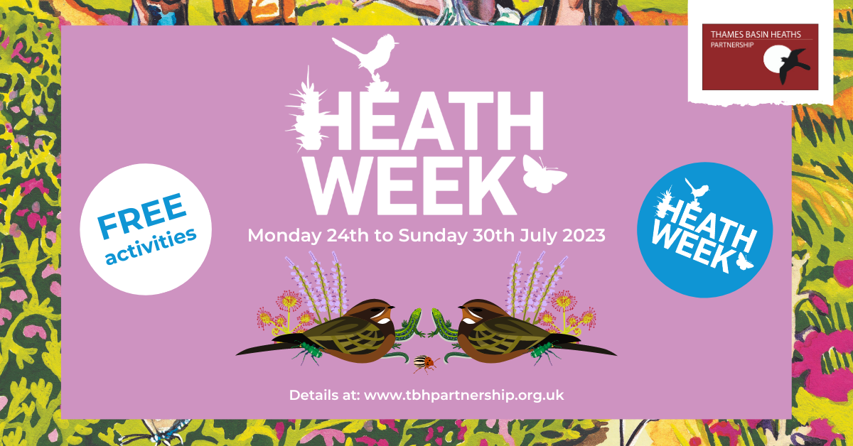 Attractive poster with drawings of nightjars to advertise Heath Week - Monday 24th to Sunday 30th July 2023.