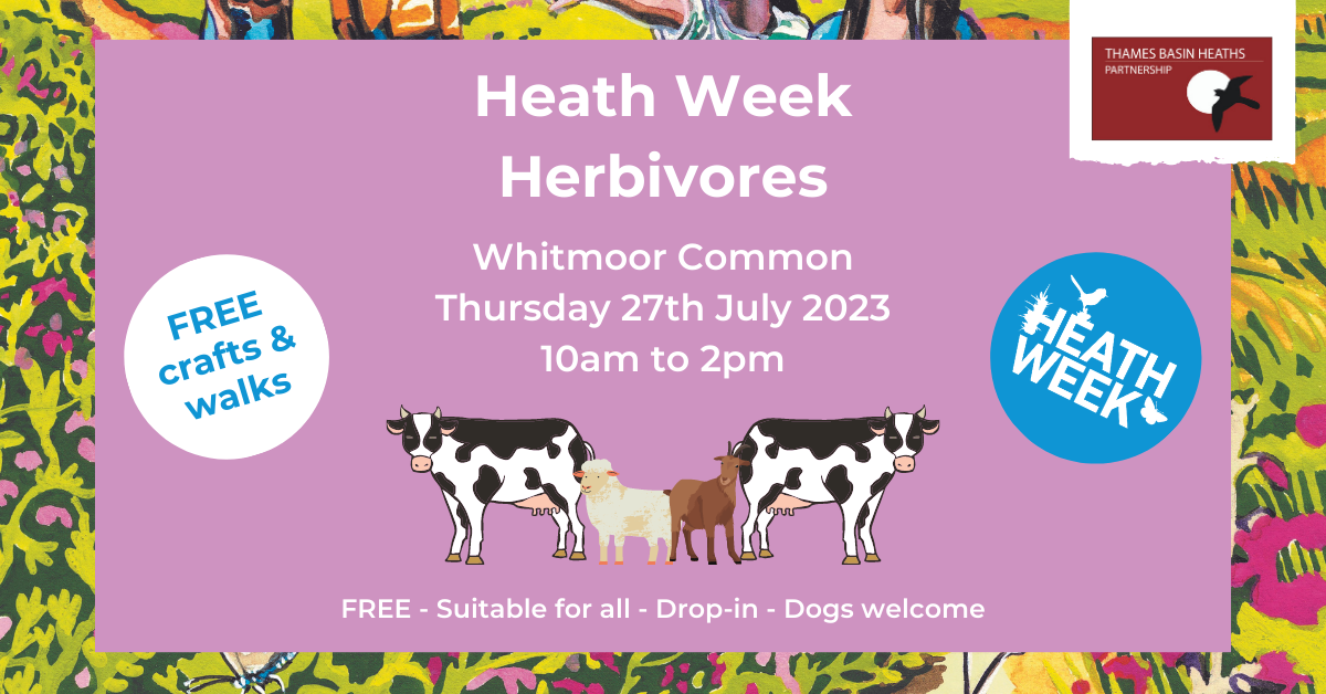 Pretty pink poster to advertise the Heath Week event. Details below.