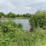 Photo taken looking across the lake, with lush green vegetation on the lake's banks.