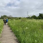 Photo of people walking on the boardwalk, lush vegetation either side.