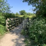 Photo of a small wooden bridge into a meadow. White-flowered plants in profusion beside the bridge.