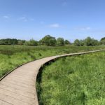 Photo of a curving wooden boardwalk running through a green meadow.