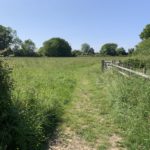 Photo of a grassy path, mown through the green meadow.