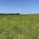 Photo of a green meadow against a blue sky.