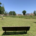 Photo of a bench in a mown grass area