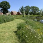 Photo of a large pond with a mown path through flower-filled meadow, and houses beyond