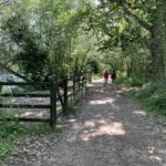 Photo of a two people walking along the shady path that goes around the lake.