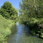 Photo of a pretty river, taken from the bridge. Trees and brambles along each bank.