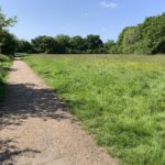 Photo of a straight, level, surfaced path running the edge of a flower-filled meadow