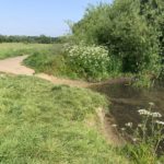 Photo of the riverbank. A place where dogs can reach the water.