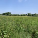 Panoramic photo of the wide expanse of green meadow.