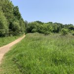 Photo of a surfaced path through a green meadow.