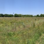 Panoramic photo of a green meadow with areas fenced off to protect trees and other planting