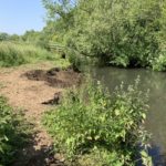 Photo of the river. Overhanging trees on the far bank. An area of bare ground on the near bank, ideal entry point for dogs.