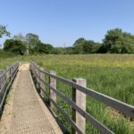 Photo of a boardwalk entering a flower-filled meadow.