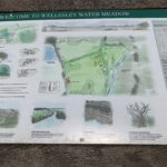 Photo of an information board welcoming visitors to Wellesley Water Meadow. It shows a map of the meandering route around the meadows.